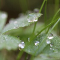 /album/galerie-photos/frida-dumont-img-4540-jpg/